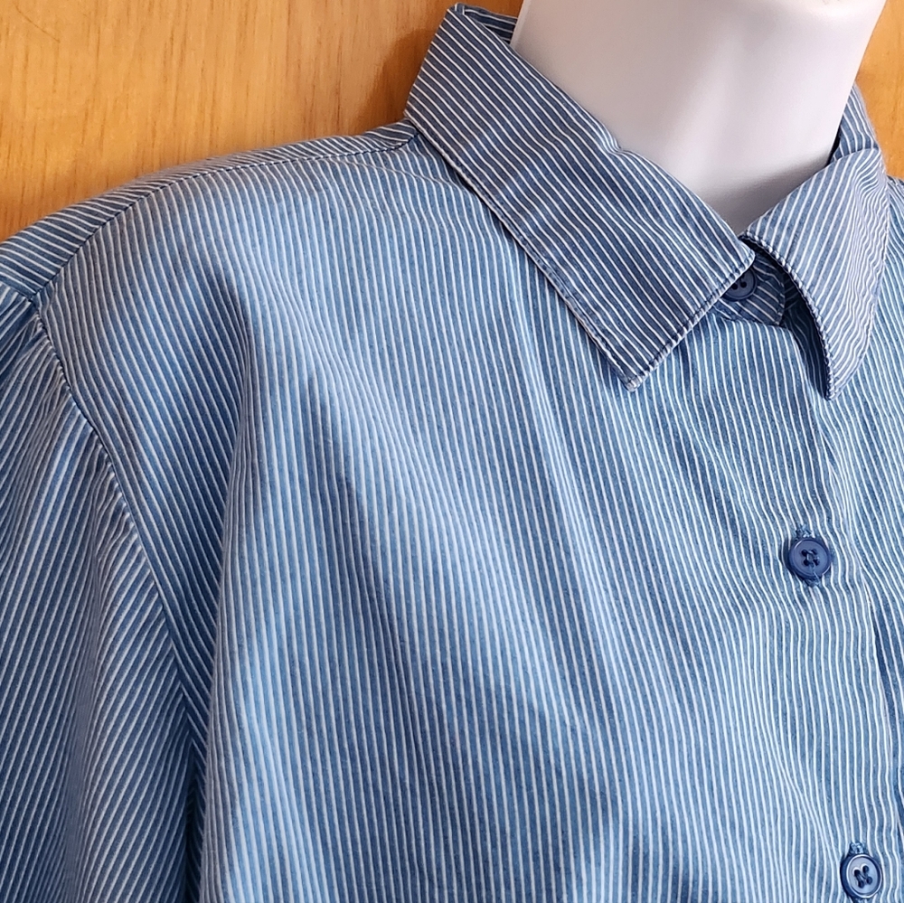 Lemon Grass Blue Striped Shirt Cotton Size PL